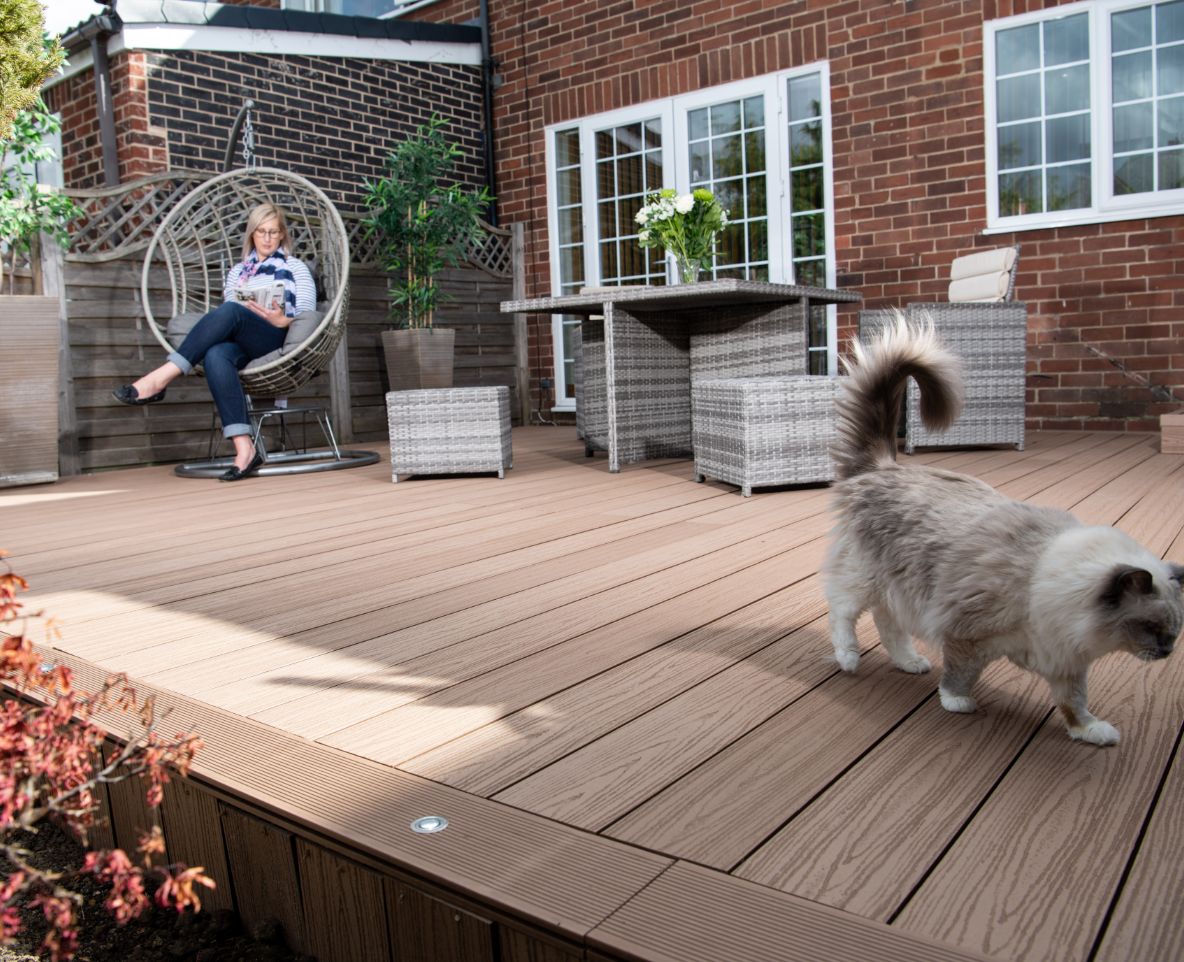 Cat walking across Alchemy Habitat decking
